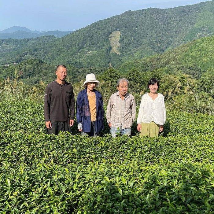 #0055.S5 NaturaliTea: Mountain-grown Fukamushi Sencha, Yabukita 有機一番摘み煎茶 山の深蒸し
