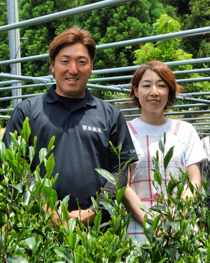 #0069.F2 Kurihara Tea: 2026 Mountain-Grown Yamecha Kabusecha Green Tea かぶせ茶