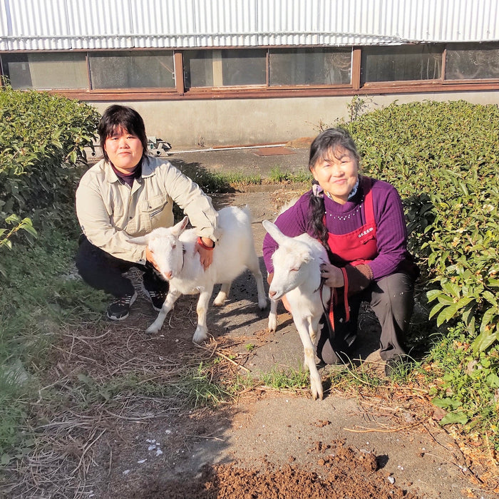 #0666.S5 Tarui Tea Farm: Sencha Ranryu, The Orchid Dragon - Single Cultivar Inzatsu #131 有機 蘭龍 (JAS Organic)