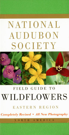 Field Guide to North American Wildflowers - Eastern