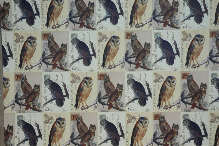 Florentine Print Owls -- NEW