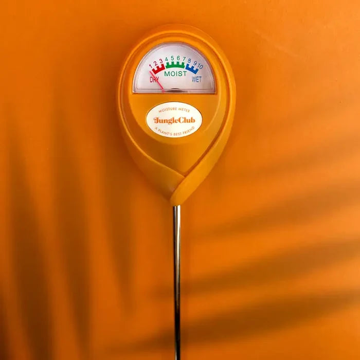 Moisture Meter
