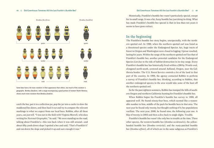 Our Native Bees