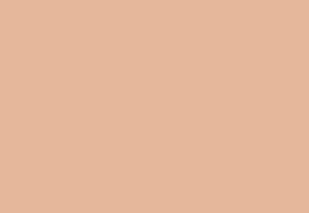 shade_01