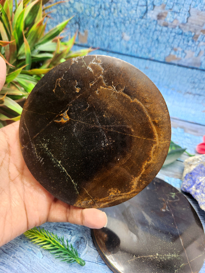 Tiger Eye Coasters - Radiate Prosperity and Protection | Set of 2 | Home Decor