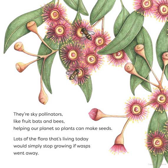 Wonderful Wasps