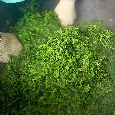Kunitomo: Riguricha Choshunka - The Ancient Rose - Handpicked Kamairicha 2014 / 2018 / 2019 / 2020 - Yunomi.life