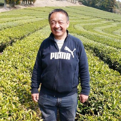 Tarui Tea Farm: 2022 Yabukita - Single Cultivar Shizuoka Sencha (JAS Organic) 有機やぶきた - Yunomi.life