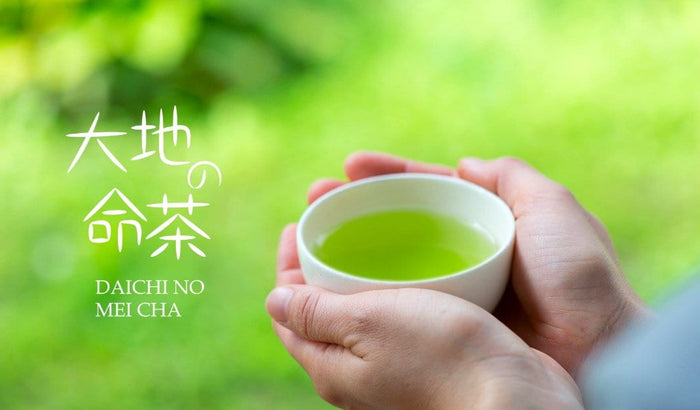 #0757.S5 Zenkouen Tea Garden SZ002: 2026 Daichi no Meicha - Premium Shizuoka Sencha (JAS Organic) 大地の銘茶、特選