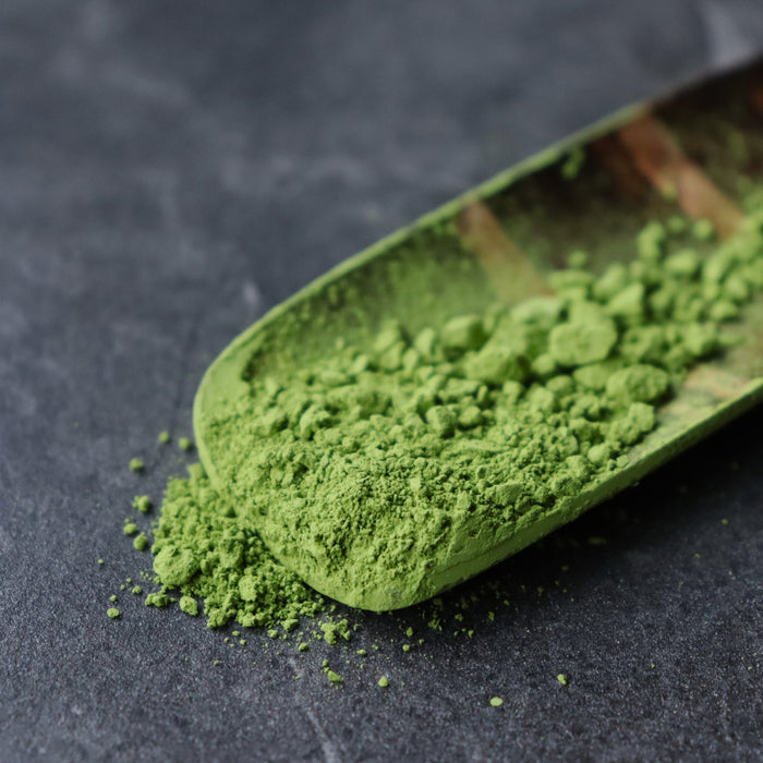 WHOLESALE Yunomi Matcha: Naturally Grown - Kodama - Standard Ceremonial Grade on a scoop yunomi.life