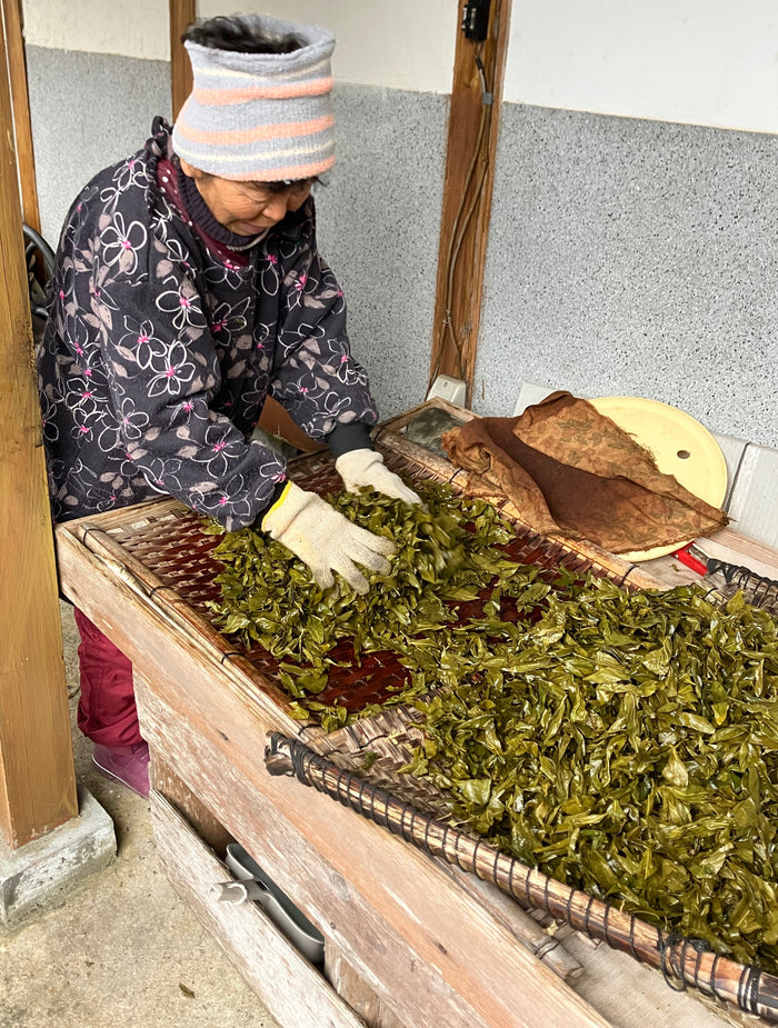 #0834.T2 Shishikui Kancha from Tokushima Prefecture - Handpicked by Farmer Akemi Ishimoto