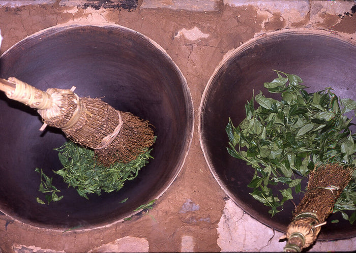 Anhui Yellow Tea Processing II