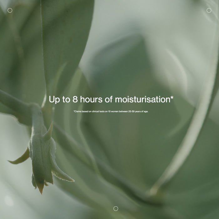Close-up of green leaves with text about moisturization on a blurred green background