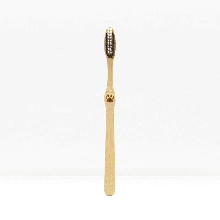 Single bamboo toothbrush standing upright against a plain white background