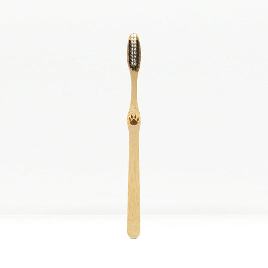 Single bamboo toothbrush standing upright against a plain white background