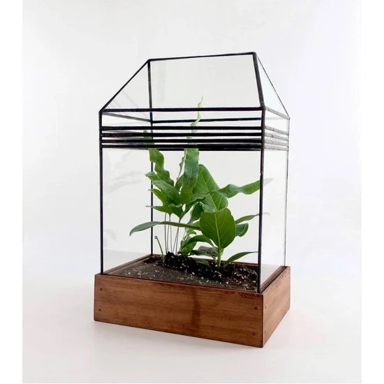 Baret Terrarium