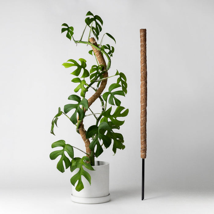 Bendable Coco Coir Pole w/ Stake