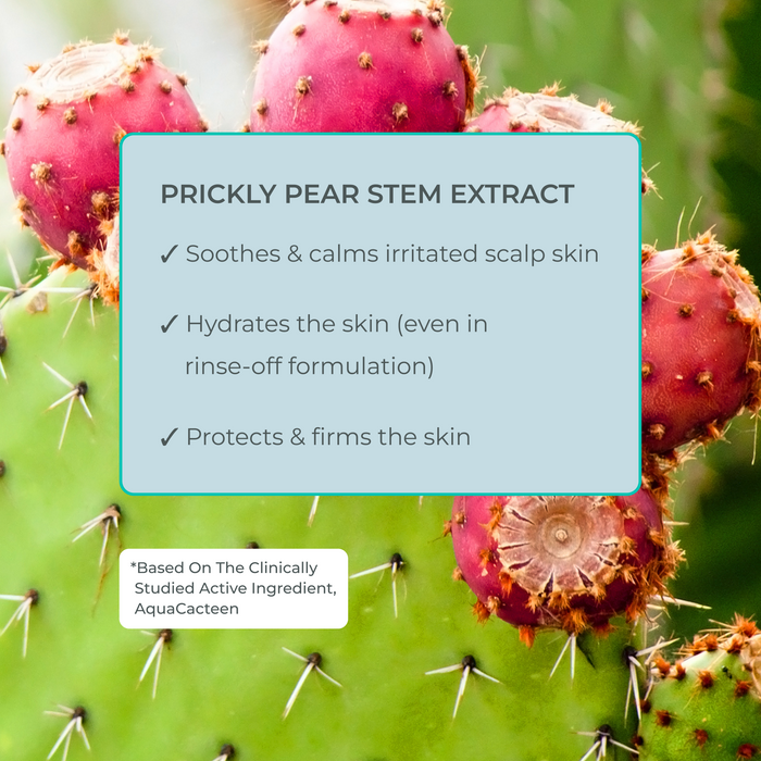 EVOLVh-Better Roots Growth Support Shampoo-Hair-EVOLVh_betterrootsgrowthsupportshampoo_ingredienthighlight_pricklypear-The Detox Market |