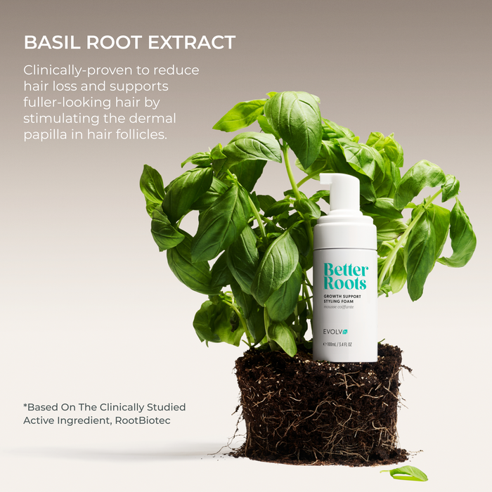 EVOLVh-Better Roots Growth Support Styling Foam-Hair-EVOLVh_betterrootsfoam_ingredienthighlight_basilrootextract-The Detox Market |