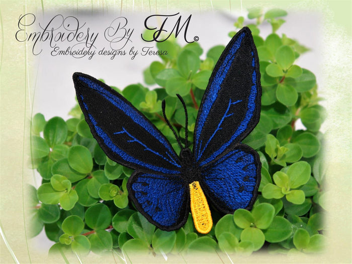 Butterfly No.16/ 5x7 hoop