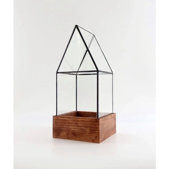 Cape Cod Terrarium