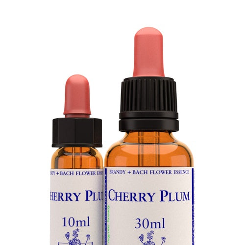Cherry Plum