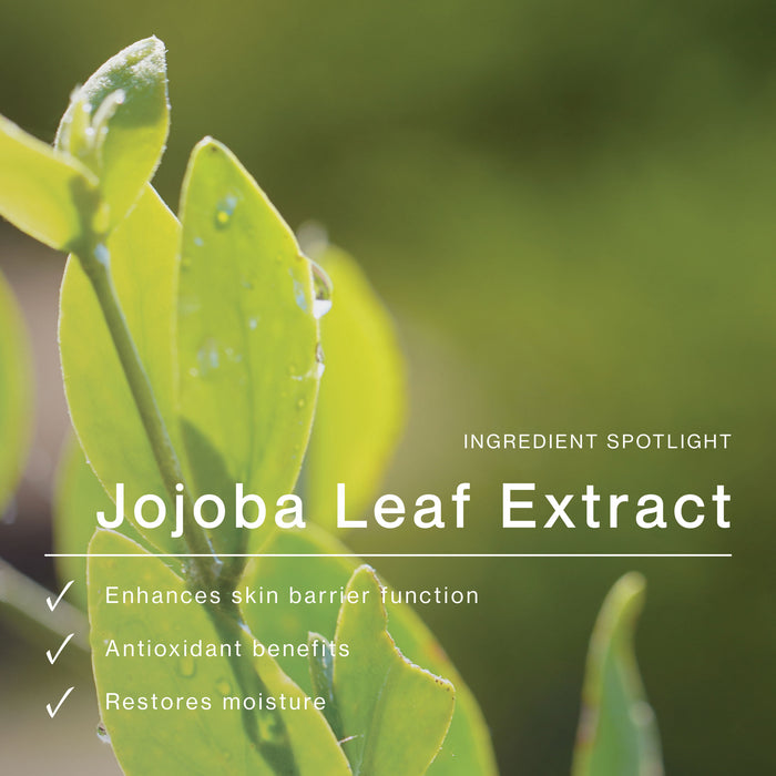 Daily Glow Exfoliating PHA Tonic