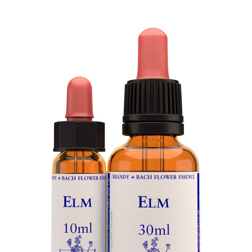 Elm