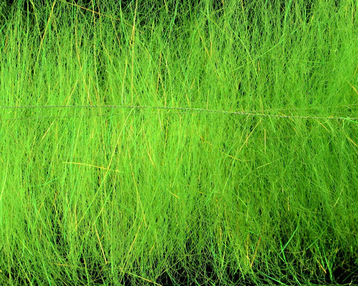 Green Chartreuse