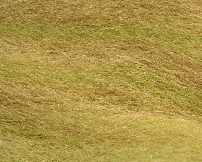 Mutton Snapper