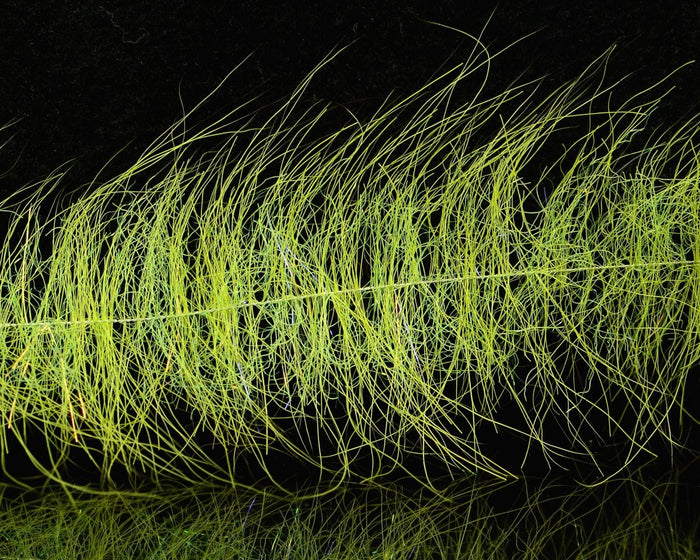 Enrico Puglisi EP Foxy Brush - Spawn Fly Fish - Enrico Puglisi