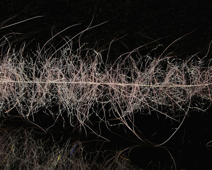 Enrico Puglisi EP Foxy Brush - Spawn Fly Fish - Enrico Puglisi