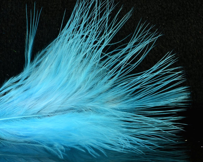 UV Fluorescent Silver Doc Blue