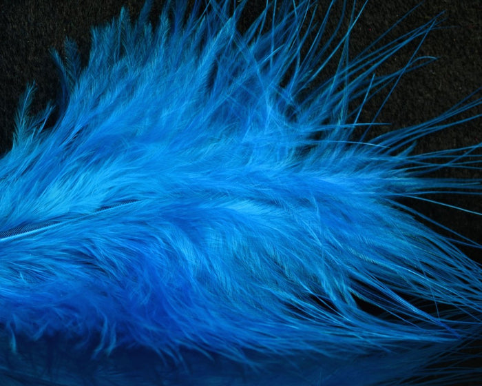 Dark Turquoise / Kingfisher Blue