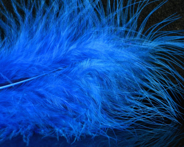 Electric Blue