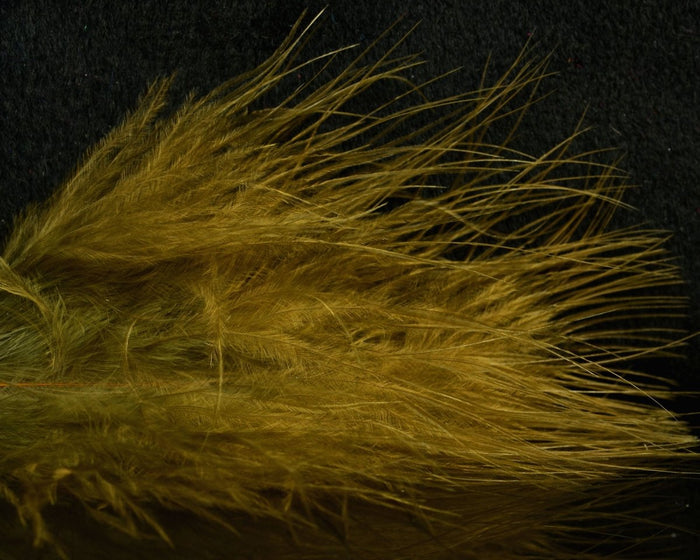Galloup's Brown Olive