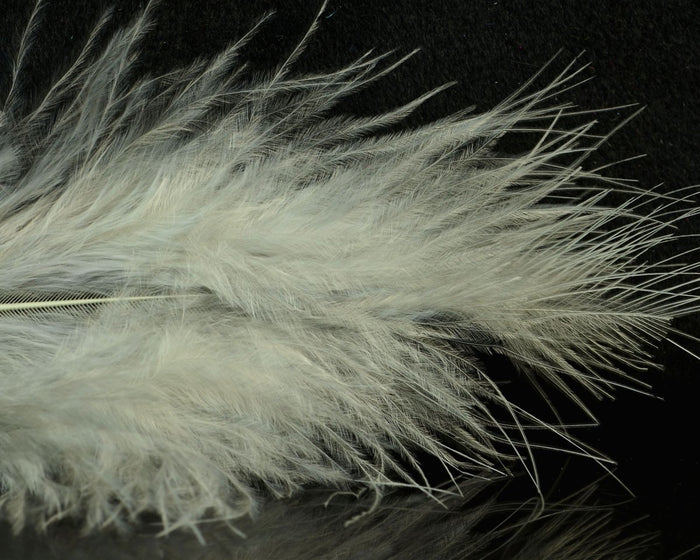 Heron Gray