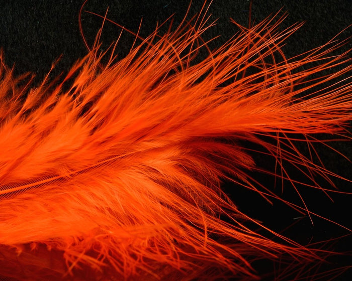 Hot Orange