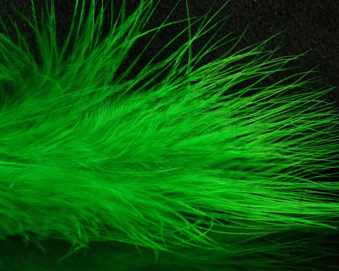 Kelly Green