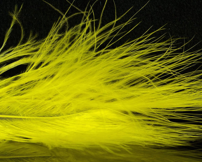 Lemon Yellow