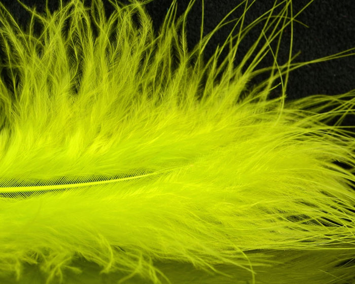 Light Olive