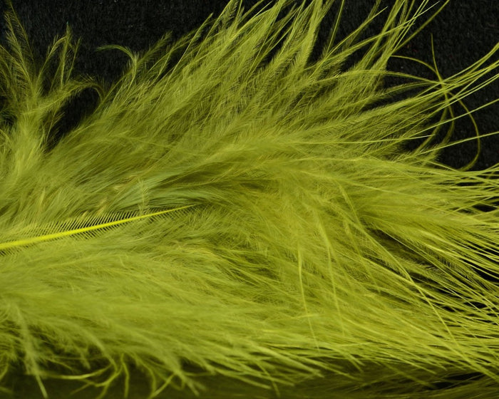 Medium Olive