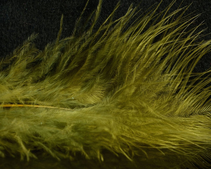 Sculpin Olive
