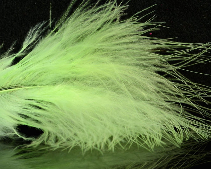 UV Fluorescent Melon