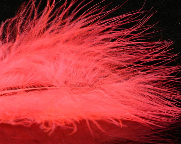 UV Fluorescent Shrimp Pink
