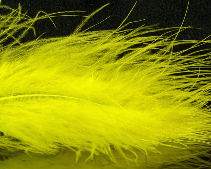Yellow Olive