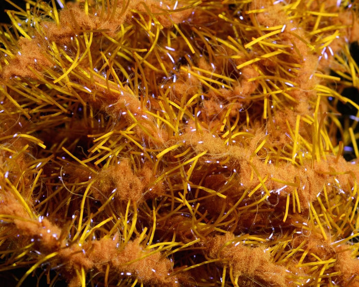 FNF UV Creeper Chenille - Spawn Fly Fish - FNF