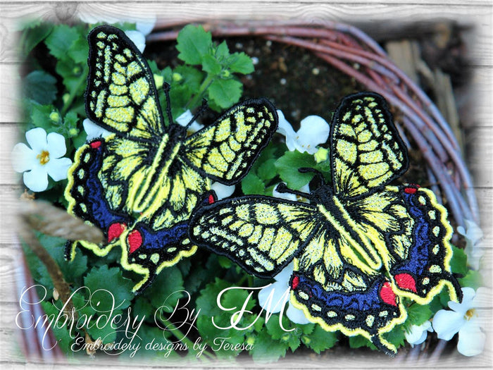 FSL Butterfly No. 5 / 4x4 hoop