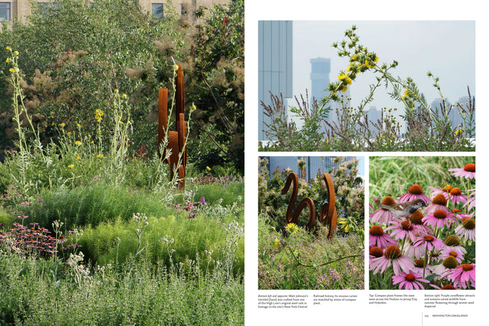 Gardens of the High Line