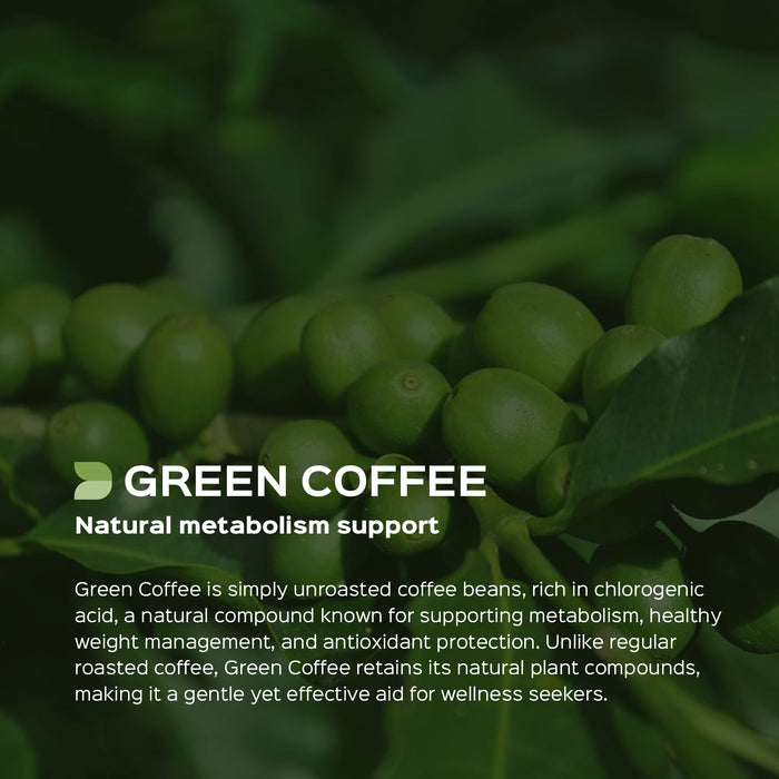 Green Coffee (Coffea robusta) Dry Extract - 50% Chlorogenic acid by HPLC